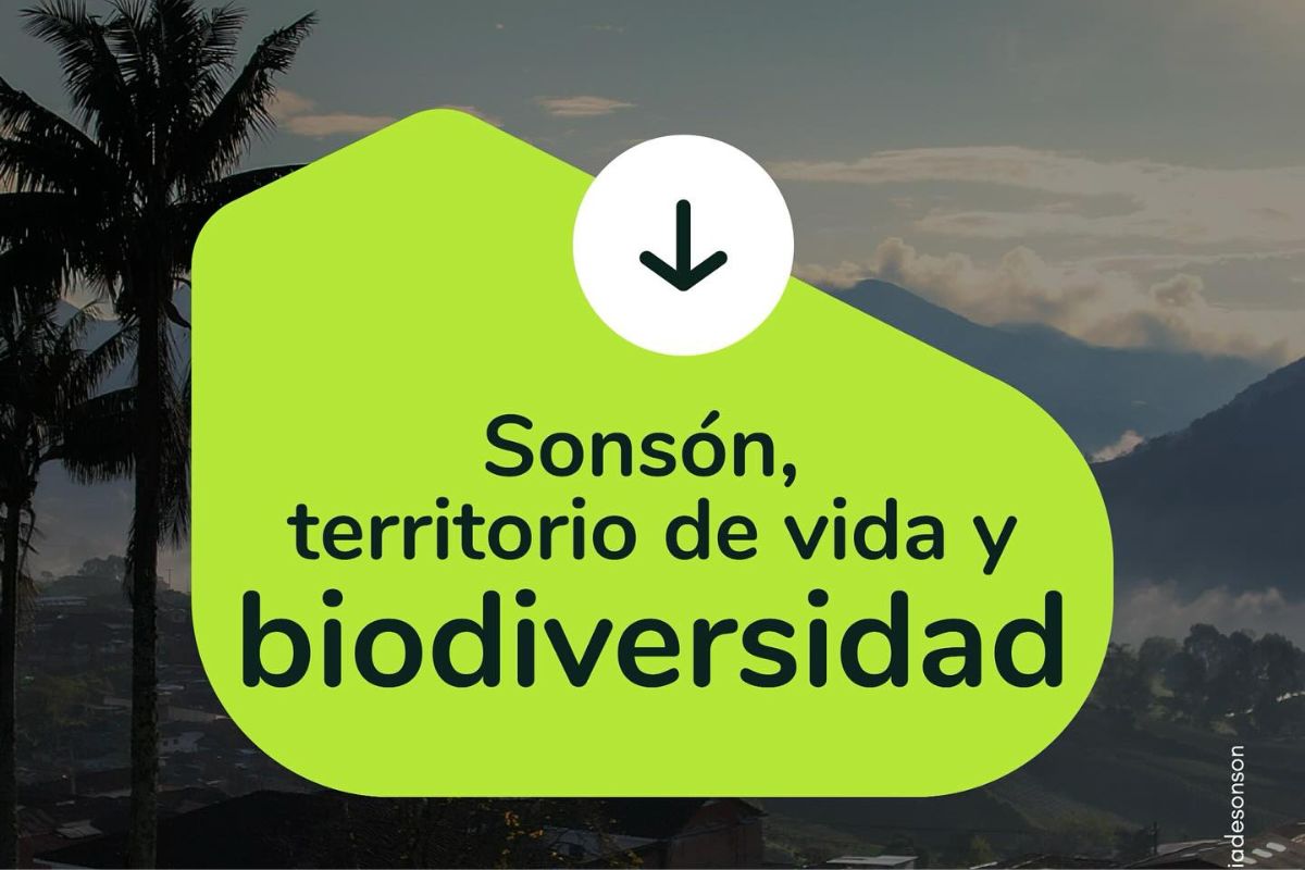 Sonsón, territorio de vida y biodiversidad: compromiso con la protección de nuestros ecosistemas