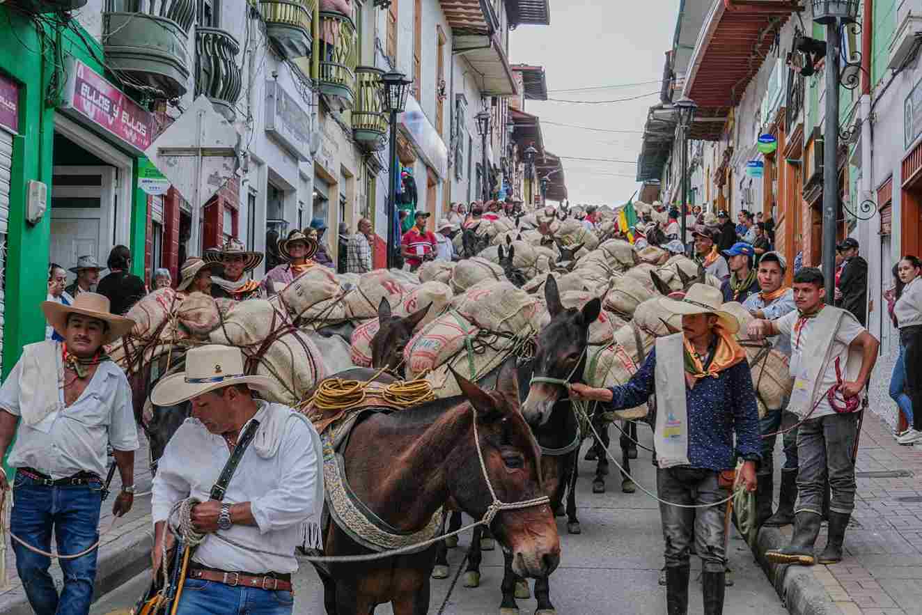 Fue un éxito rotundo la Travesía en Mulas y Arriería en Sonsón